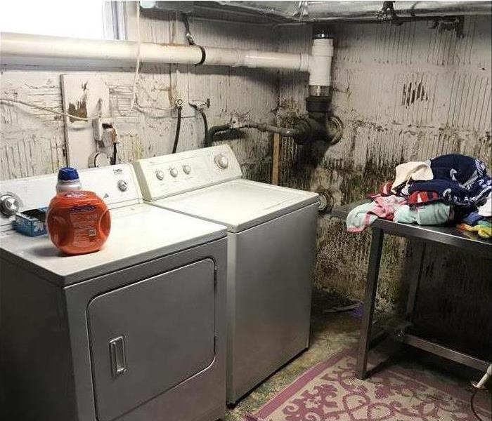 laundry area with mold on concrete walls